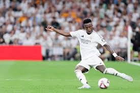 地足球的整 地足球的整